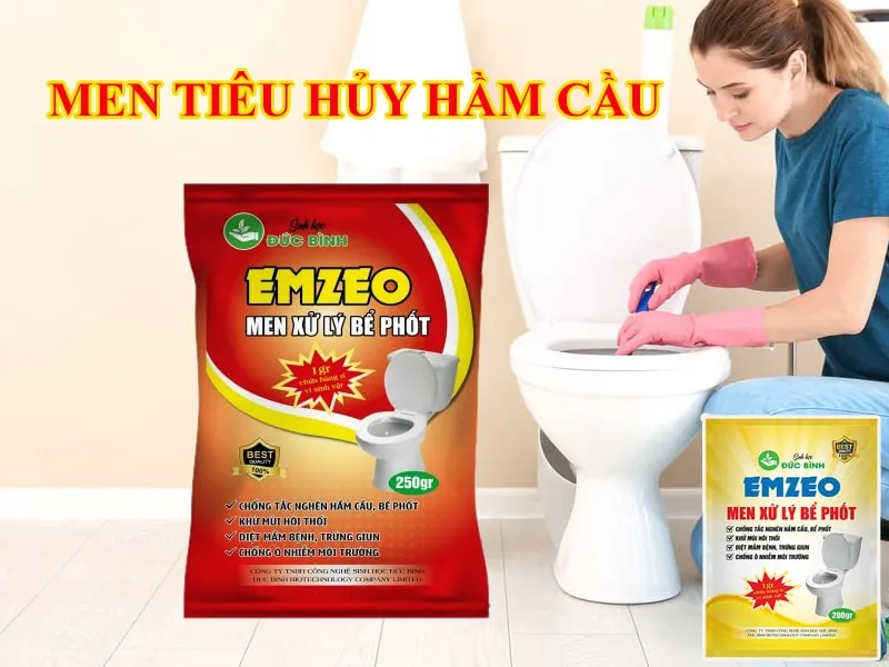 các loại men vi sinh bồn cầu